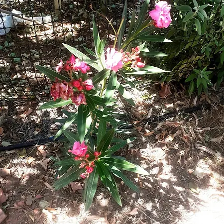 カントリーハウス Stone House Near